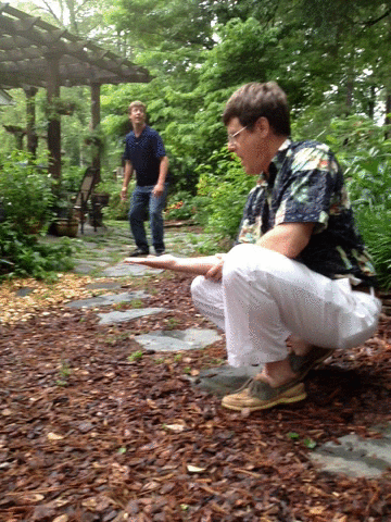 Handleap-Cinemagram